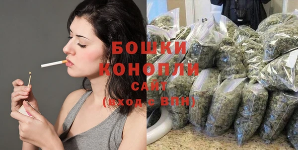 эйфоретик Кукмор