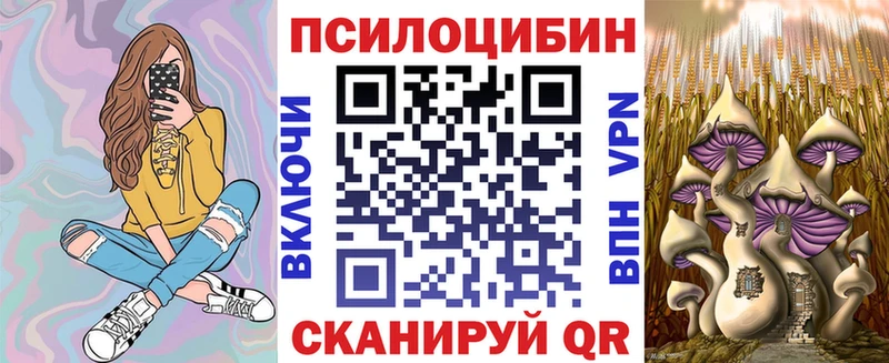Галлюциногенные грибы Psilocybine cubensis  купить наркотики сайты  Тогучин 
